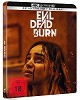 Evil Dead Burn