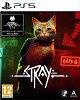 Stray