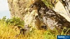 ARK: Survival Ascended PS5 PEGI bestellen