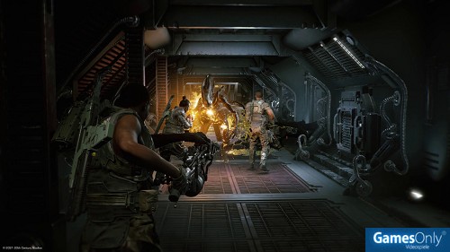 Aliens: Fireteam Elite PS4 PEGI bestellen