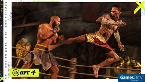 UFC 4 PS4 PEGI bestellen