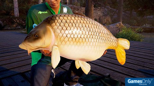 Fishing Sim World Pro Tour [Collector´s  Edition] PS4 PEGI bestellen