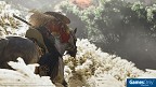 Ghost of Tsushima PS4 PEGI bestellen