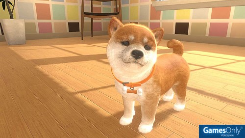 Little Friends: Dogs & Cats Nintendo Switch PEGI bestellen