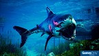 Maneater PS4 PEGI bestellen