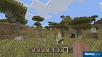 Minecraft Switch 2 PEGI bestellen