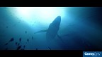 Under The Waves PS4 PEGI bestellen
